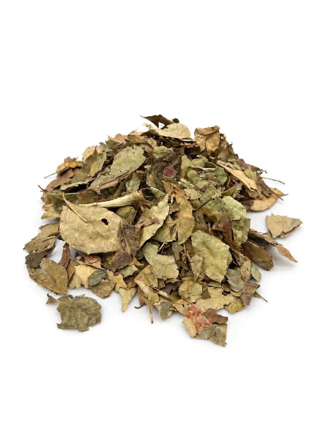 أوراق كاري  Curry Leaves